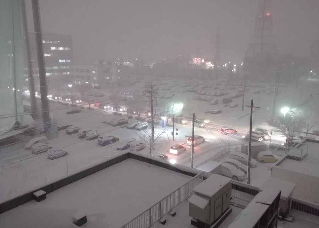 新潟にて。雪かきのやり方も知らない。